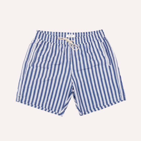 Blue & White Striped Swim Shorts