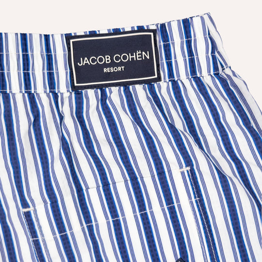 Blue & White Striped Swim Shorts