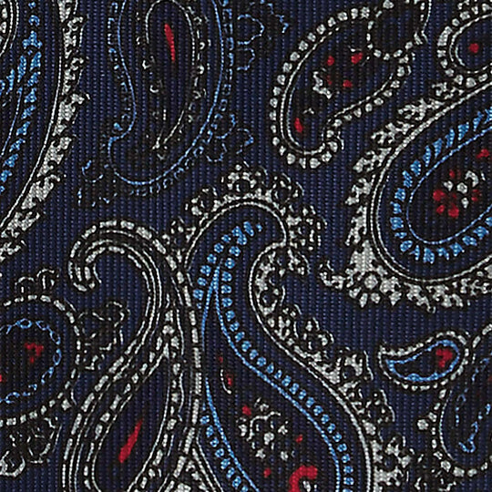 Navy Blue Paisley Silk Tie